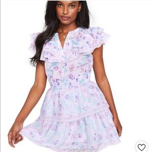 NWT LoveShackFancy xTarget Lou Double Ruffle Dress